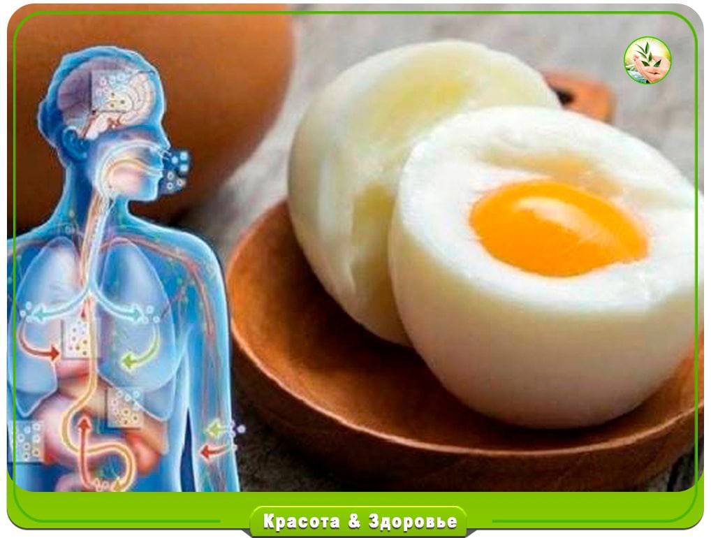 Что произойдет с организмом, если кушать каждый день на завтрак по 2 яйца