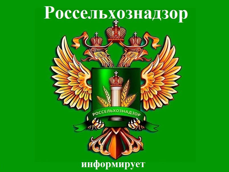 В октябре в Ростовской области признаны недействительными 128 деклараций о соответствии на злаковые, зернобобовые и масличные культуры