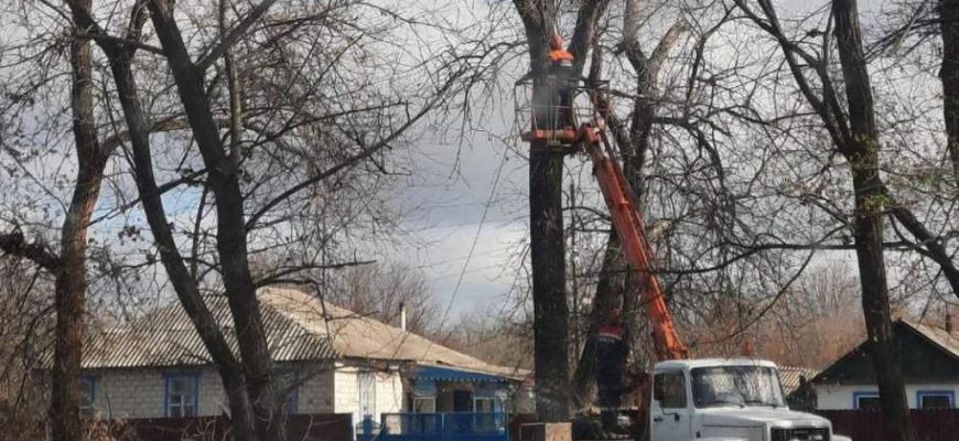 работы по спилу аварийных деревьев в х. Сергеевка Кашарского района