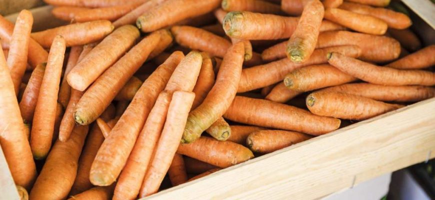 Польза моркови зависит от условий хранения
