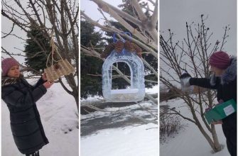 Кормушки для птиц соорудили в ПНИ Кашарского района