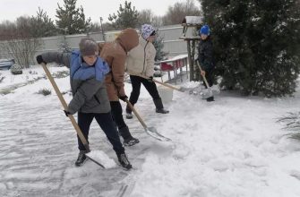 Воспитанники социально-реабилитационного центра для несовершеннолетних Кашарского района организовали трудовой десант.