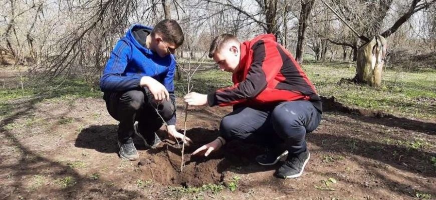 День древонасаждений в Фомино-Свечниковском сельском поселении