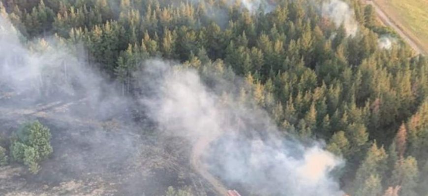 В Кашарском районе, как и на всей территории Ростовской области, с 28 апреля по 20 октября 2024 года установлен особый противопожарный режим.