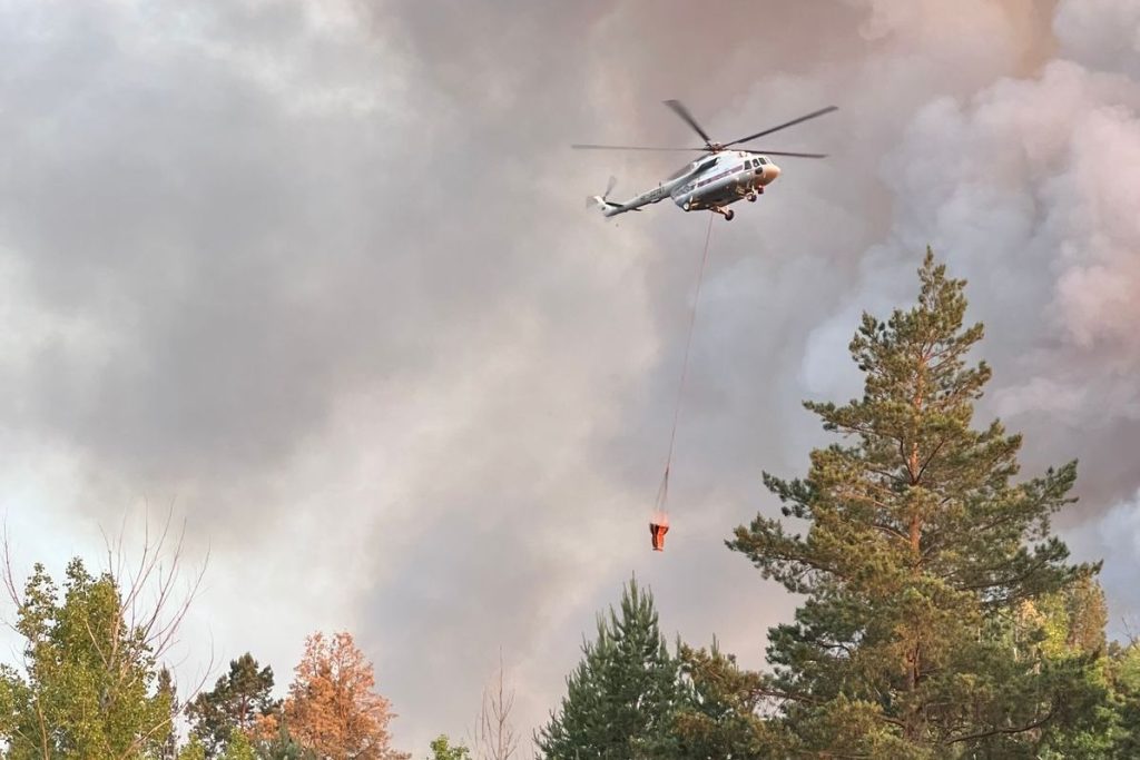 Пожар потушен: площадь лесного пожара в поселке Тарасовский Ростовской области составила 169 гектаров