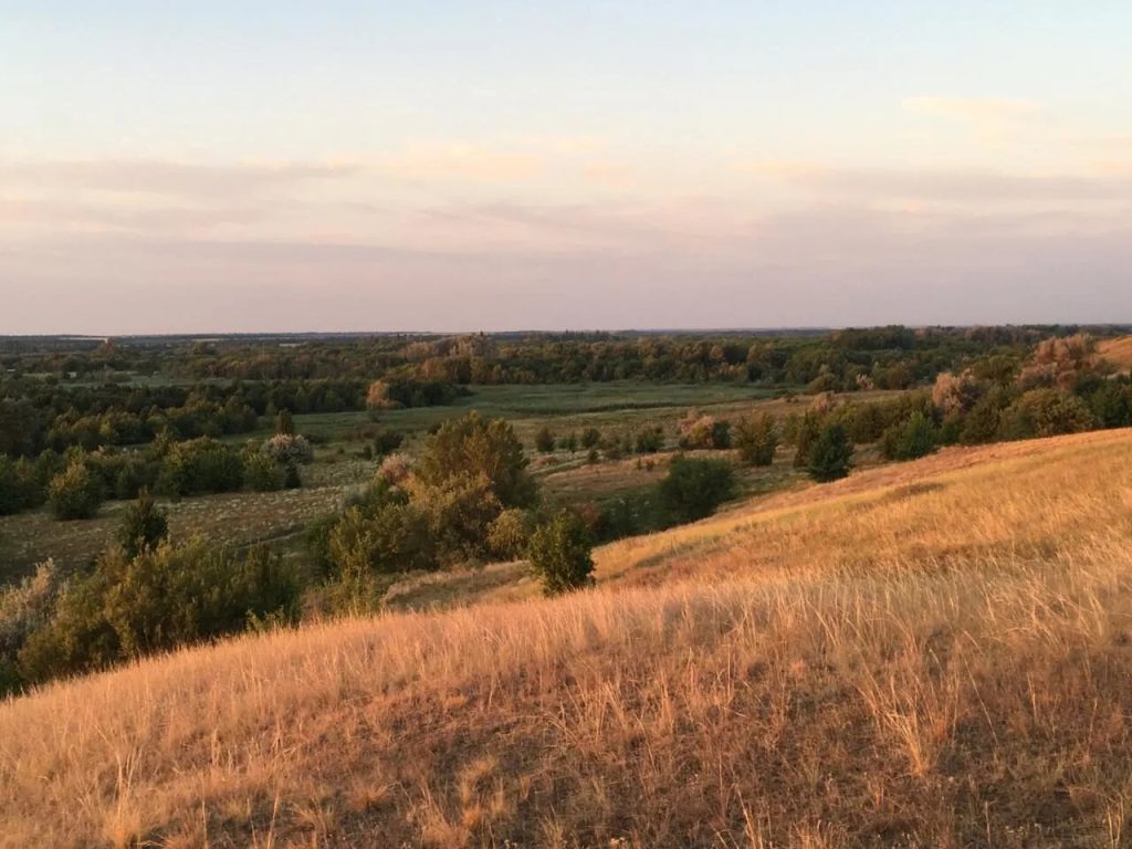 Сергей Целищев, с. Верхнемакеевка