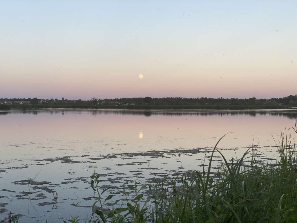 Завгородняя Ангелина