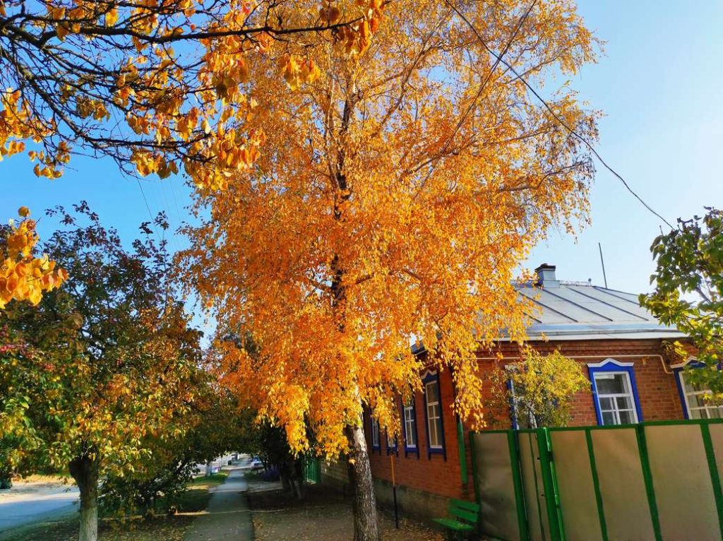 Сергей Доронин, сл. Кашары