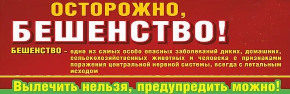 Необходима срочная иммунизация животных против бешенства