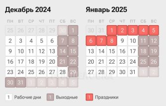 Шестидневная рабочая неделя ожидает россиян перед Новым годом