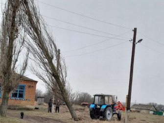 Устранили угрозу: совместными усилиями жителей Фомино-Свечниковского поселения спилено аварийное дерево