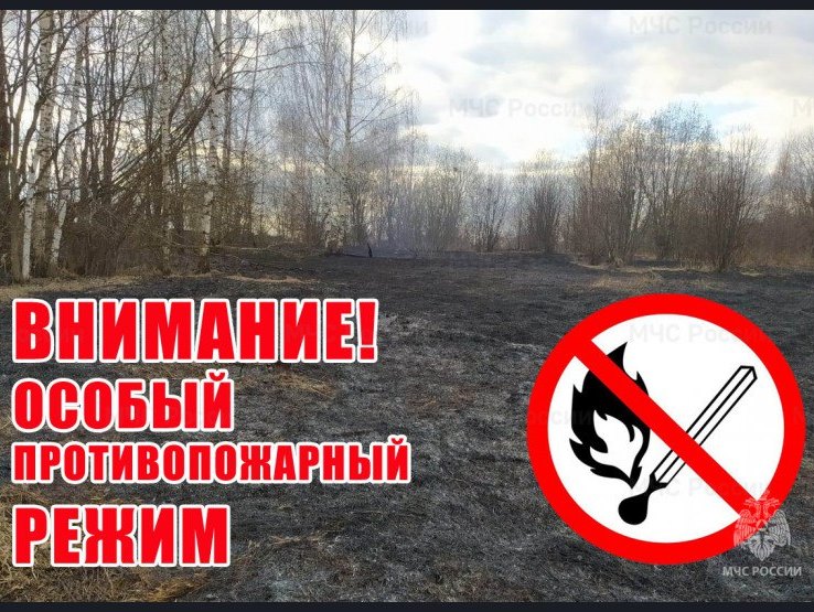 Особый противопожарный режим действует на территории Кашарского района
