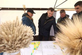 Аграриям Дона компенсируют часть затрат на посев элитных семян