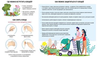 Сезон клещей: как защитить себя и что делать в случае укуса