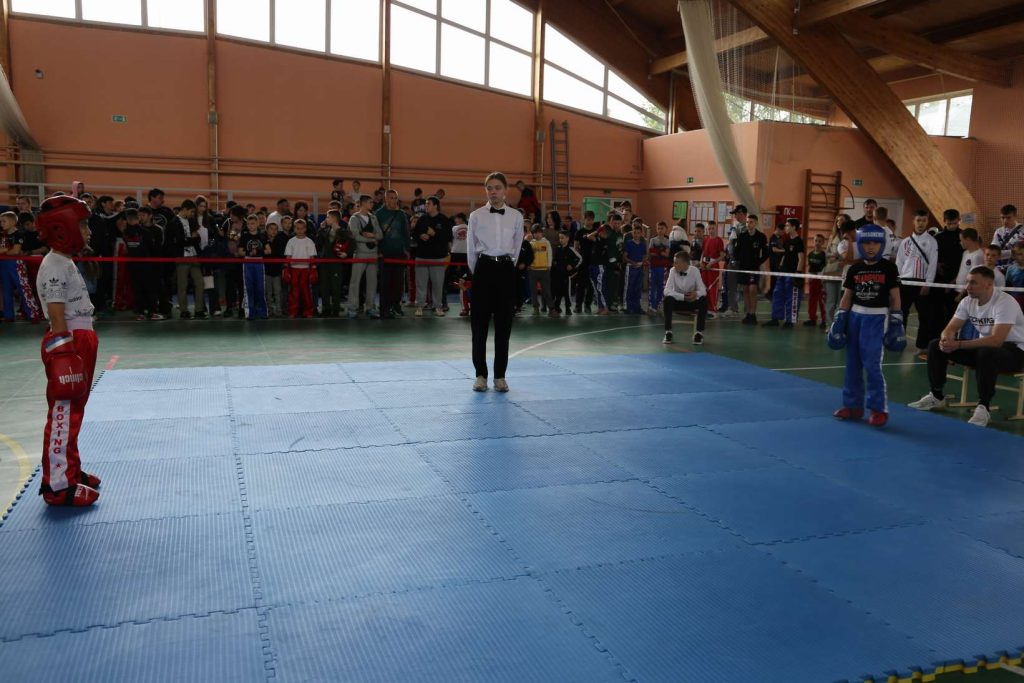 В Кашарском районе проходит XI региональный турнир по кикбоксингу