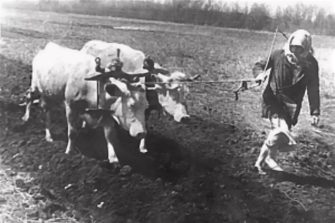 В годы войны: история семьи Кушнаревых, пережившей голод, потери и надежду