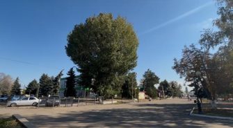 Мемориал героям Великой Отечественной войны сл. Кашары