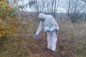 Спасительная приманка: ветеринары провели вакцинацию диких животных в Кашарском районе