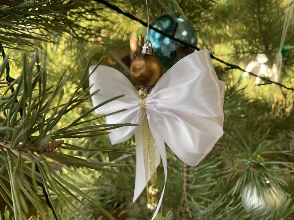 Частичка тепла: воспитанники СРЦ получили новогодние подарки от депутата Заксобрания и главы района