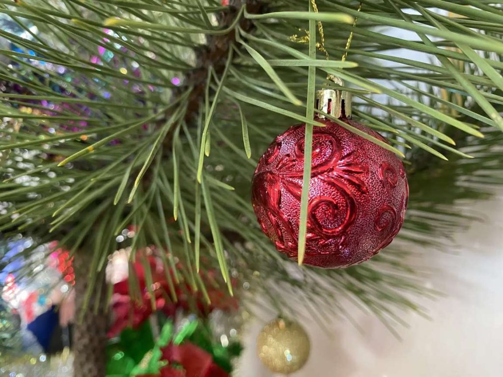 Праздник добра и внимания прошел в Первомайском СРО