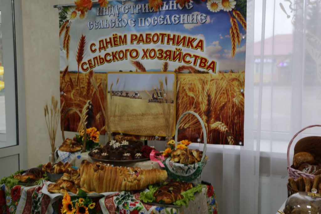 В Кашарах прошел праздник в честь Дня работника сельского хозяйства и перерабатывающей промышленности