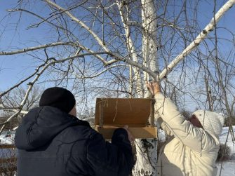Спасательная кормушка: каменские семьи всем сердцем помогают птицам