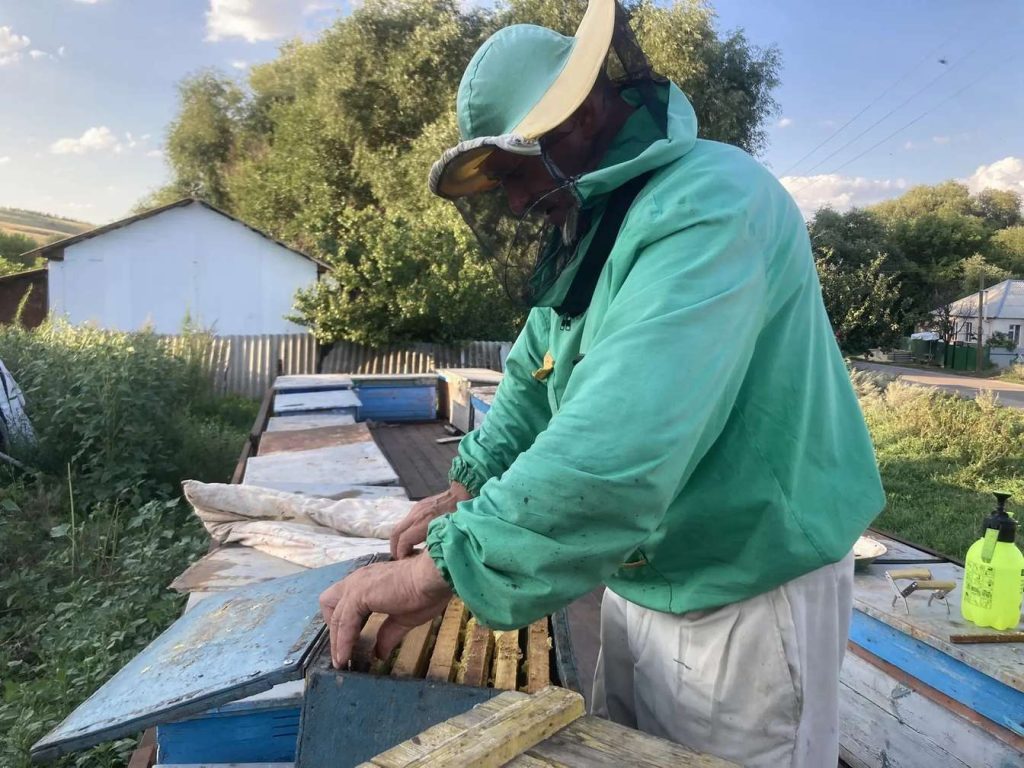 С 1 марта меняются правила взаимодействия аграриев и пчеловодов: что важно знать