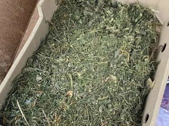 В Кашарском районе полицейские пресекли незаконный оборот наркотиков