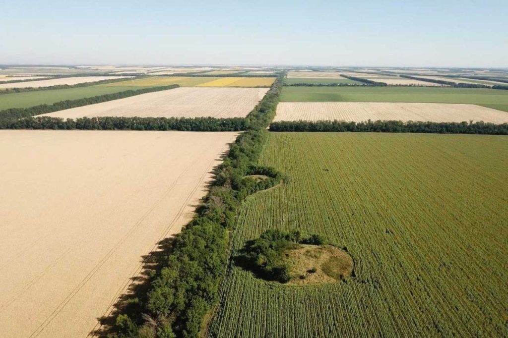 Еще 19 памятников археологии на Дону получили статус федерального значения