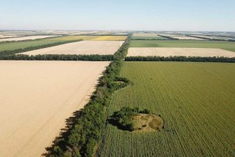 Еще 19 памятников археологии на Дону получили статус федерального значения