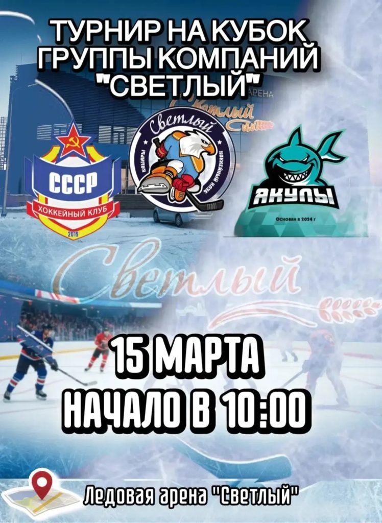 Турнир по хоккею на кубок группы компаний «Светлый»