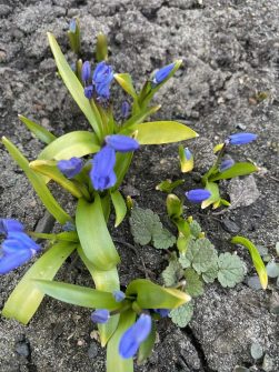 Солнечная активность в марте ускорила пробуждение природы