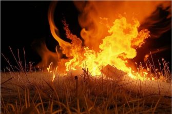 О правилах использования открытого огня и разведения костров