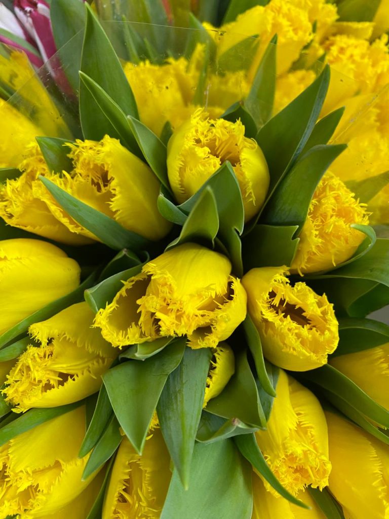 Тюльпаны, розы и немного души