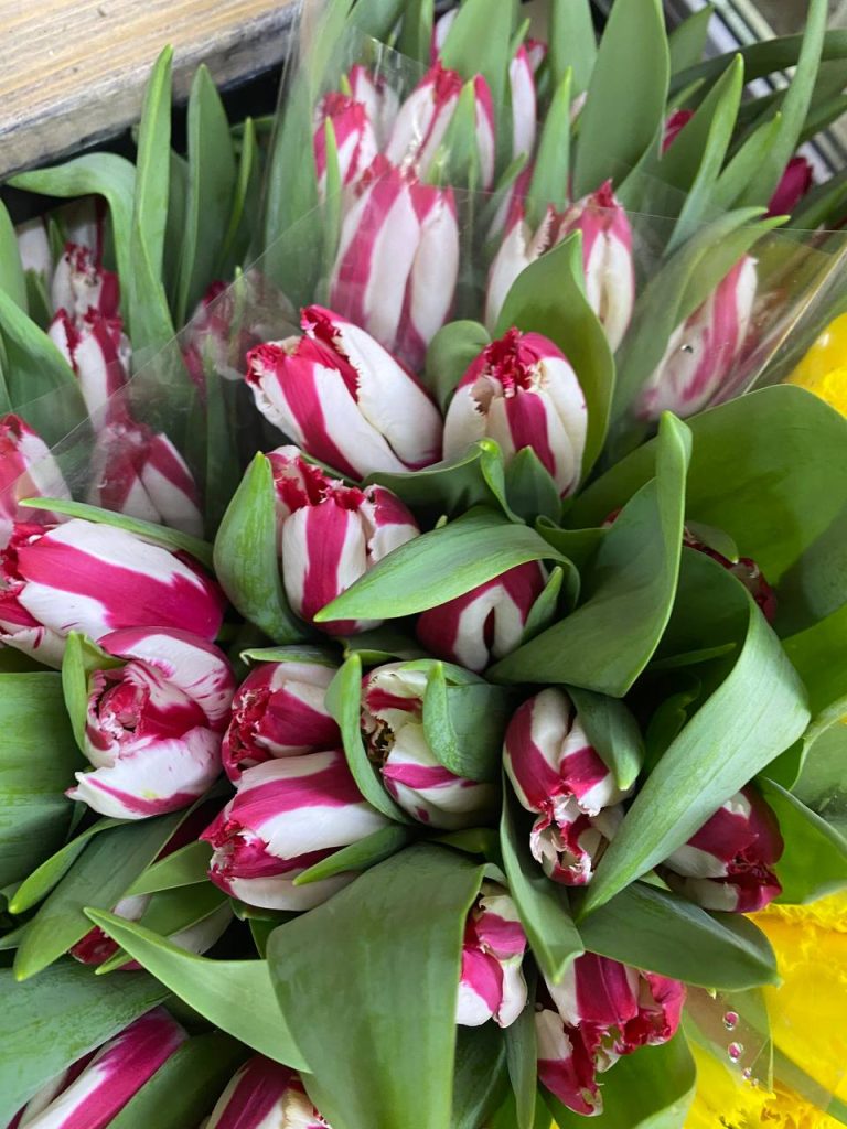 Тюльпаны, розы и немного души