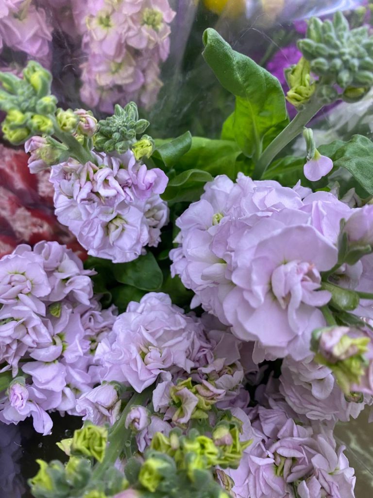 Тюльпаны, розы и немного души