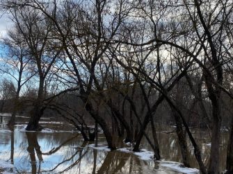 Весна в Каменке: большая вода и невероятная красота