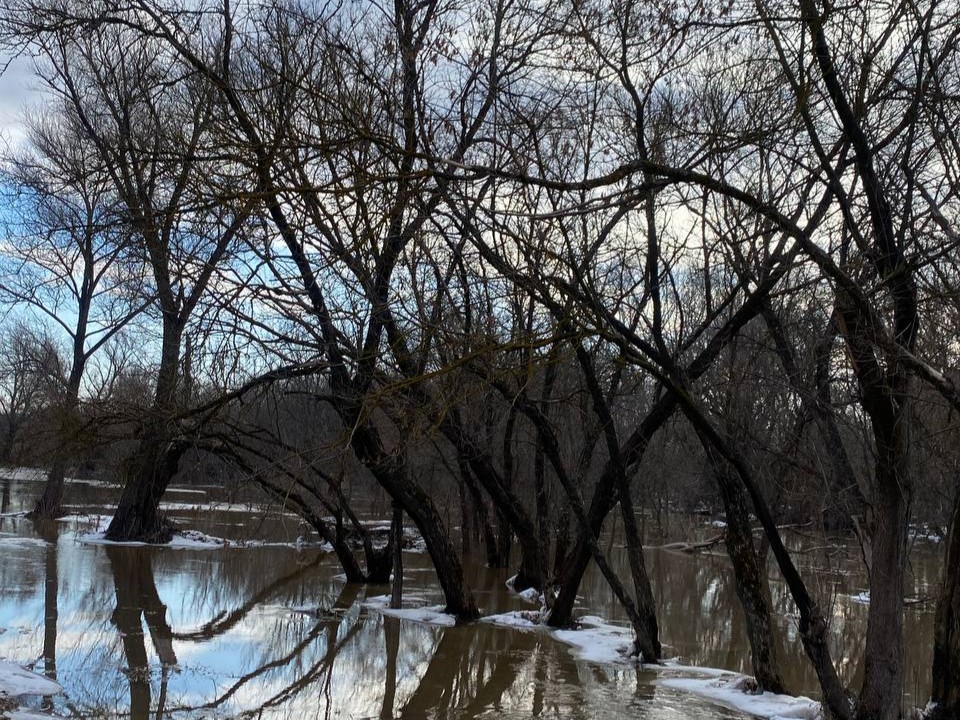 Весна в Каменке: большая вода и невероятная красота