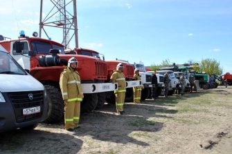 С 23 марта в Кашарском районе и ещё восьми лесничествах Дона вводится пожароопасный сезон