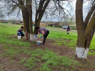 В Верхнесвечниковском поселении деревья «принарядились» к весне