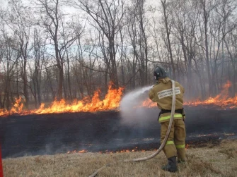 С 6 апреля на Дону действует особый противопожарный режим