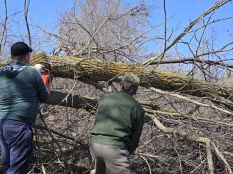 Жители Верхнегреково и Шалаевки вместе навели порядок на кладбище