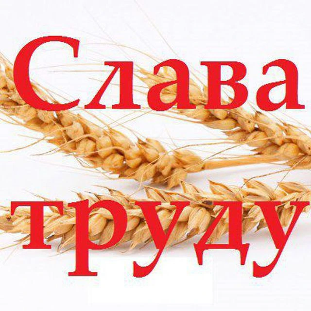 Газета «Слава Труду» расширила охват аудитории с помощью мессенджера MAX